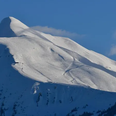 Face Mont-blanc