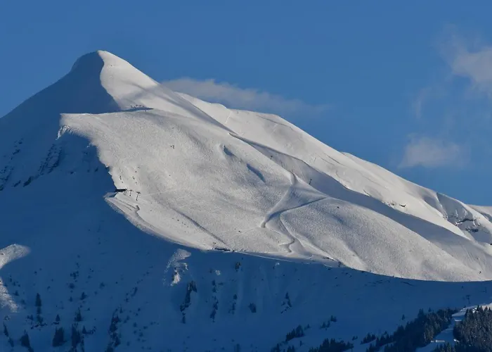 Face Mont-blanc